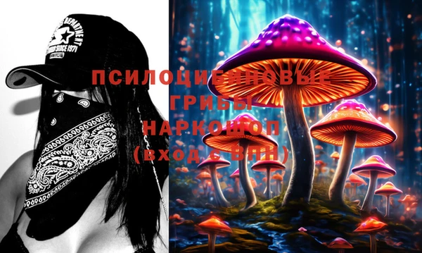 spice Покровск