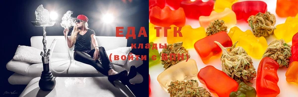 дмт Щигры