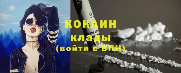 дмт Щигры