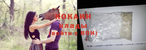 хмурый Покачи