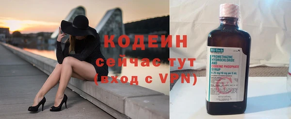 хмурый Покачи