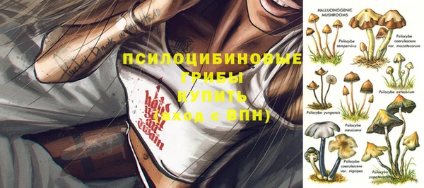 хмурый Покачи