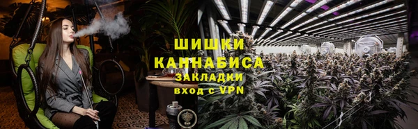 хмурый Покачи