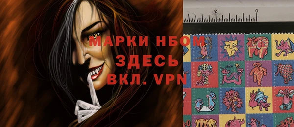хмурый Покачи